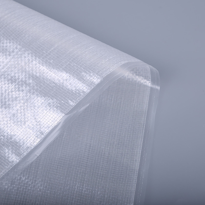 Transparent PP Woven Bag Largely Used for Packing Potatoes and Onions