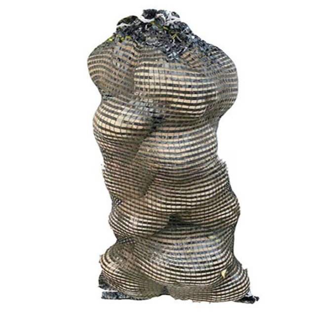 Vegetable Packing Mesh Bag