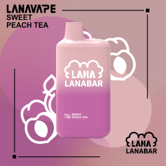 拉娜 LANA 5000 PUFFS【倉庫V】