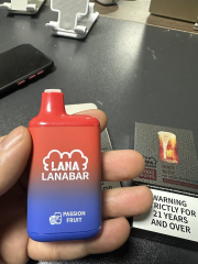 拉娜 LANA 5000 PUFFS【倉庫V】