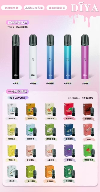叮啞 DIYA 一代主機【倉庫A】