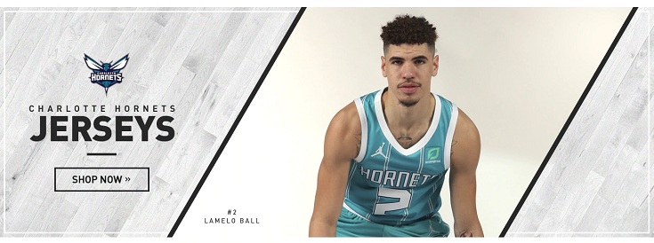 Charlotte Hornets banner