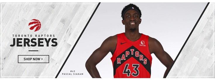 Toronto Raptors banner