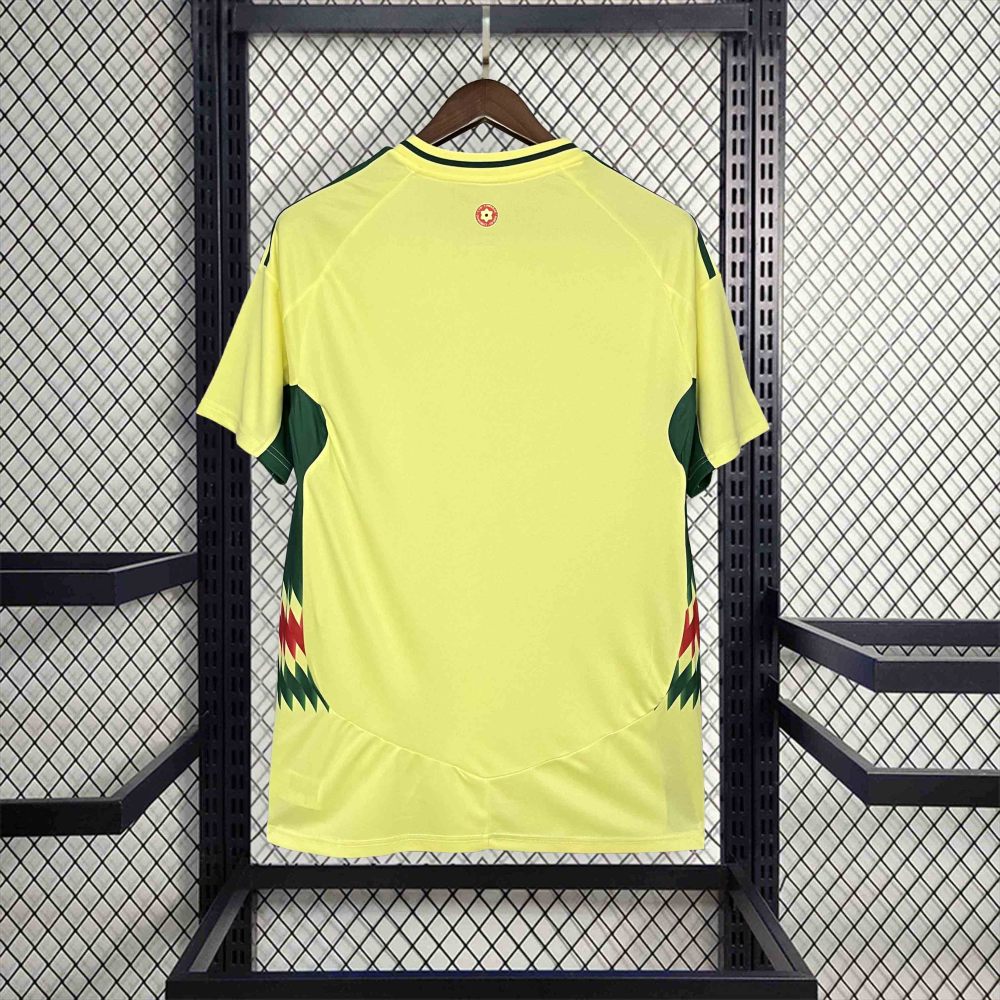 2024 Wales Away Jersey
