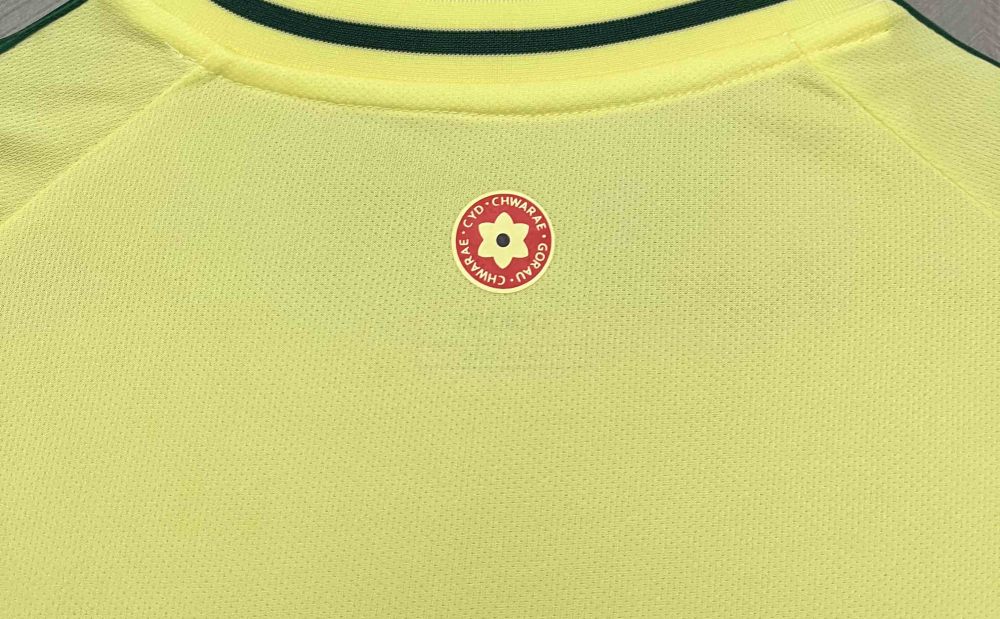 2024 Wales Away Jersey