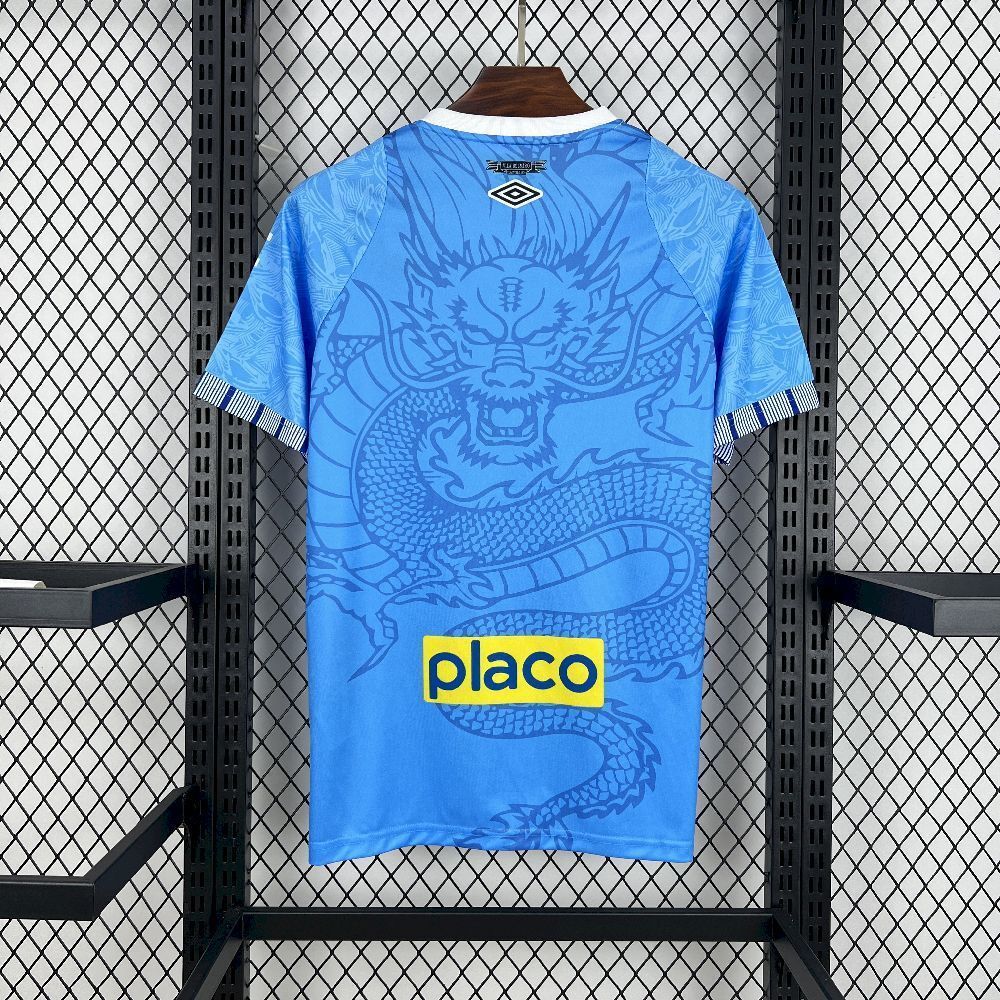 2025/26 Santos FC Special Edition Jersey 