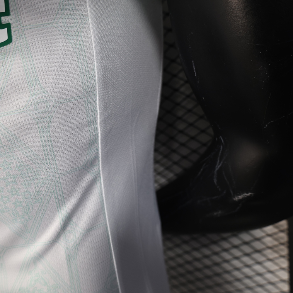 2025/26 SE Palmeiras Away Jersey Player Version