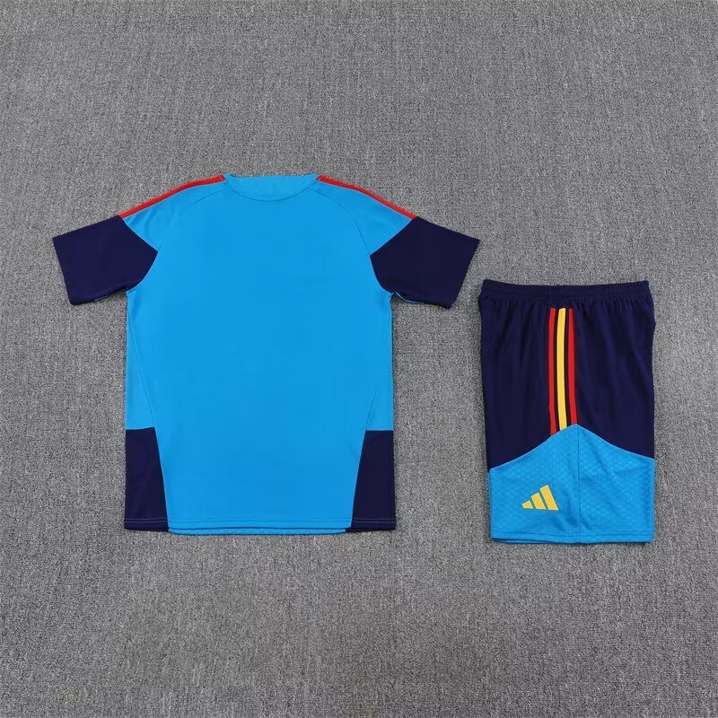 2026/27 Spain Lake Blue Short Sleeve Training Suit For Adult & Kids