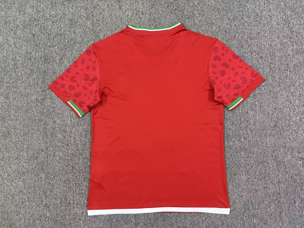 2026 Iran Away Fan version World Cup Soccer Jersey