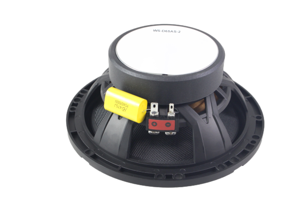 WS-D65AS-2