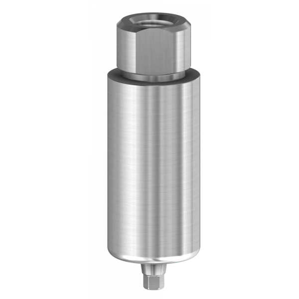 Neodent GM® Grand Morse Dental Implant Titanium Premill Blank Abutment 10mm Arum / Dess Holder