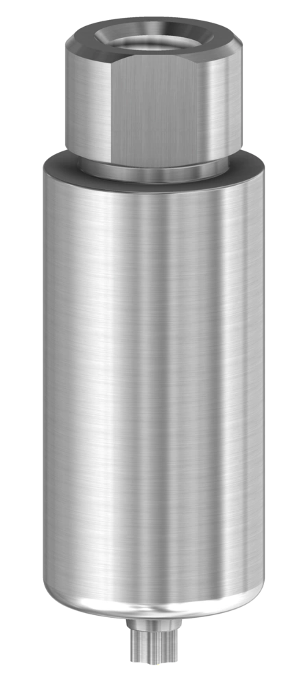 Straumann BLX ® Dental Implant Titanium Premill Blank Abutment 10mm Arum / Dess Holder Compatiable to RB - WB