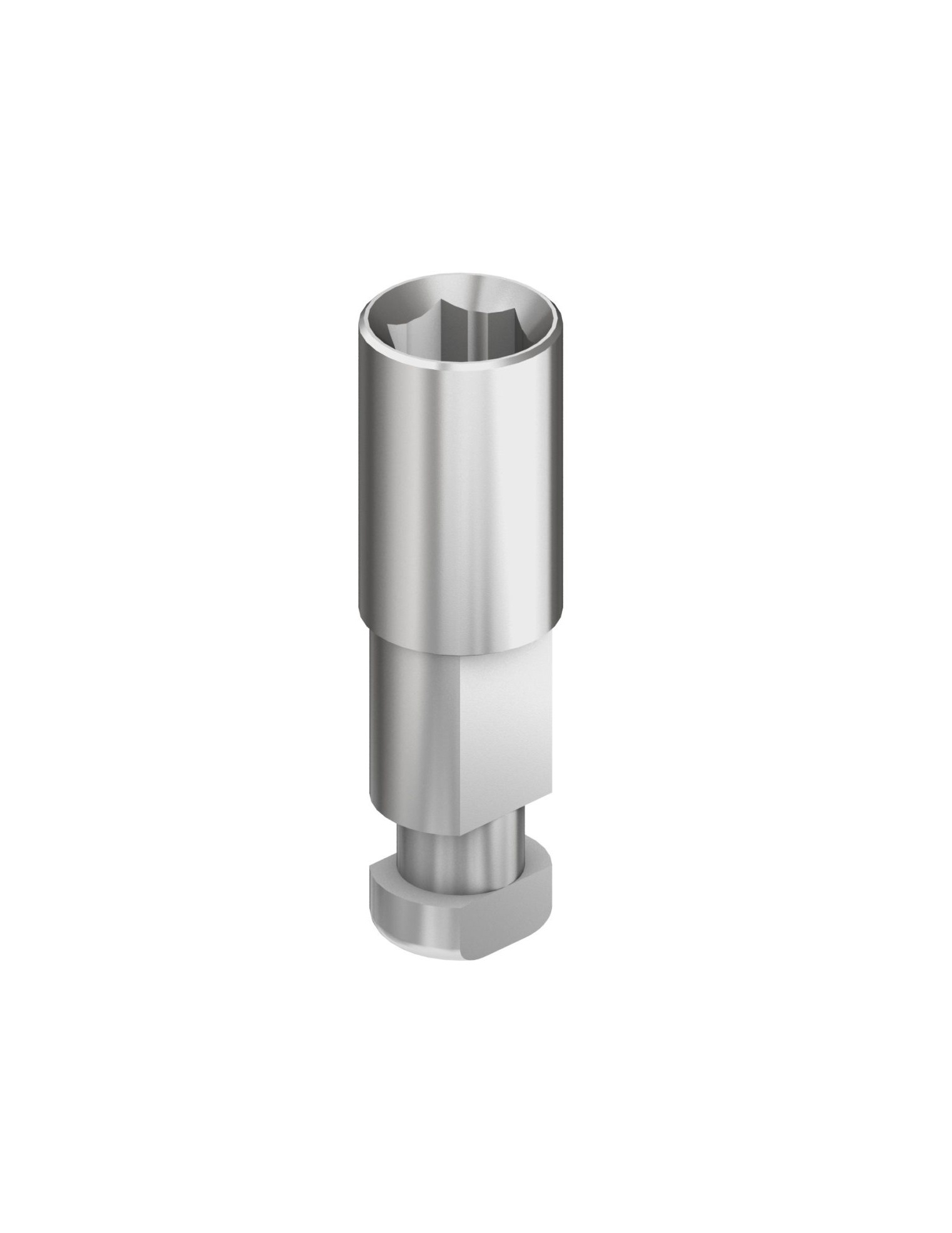 Adin® Touareg™ S / OS RS Internal Hex Implant Analog