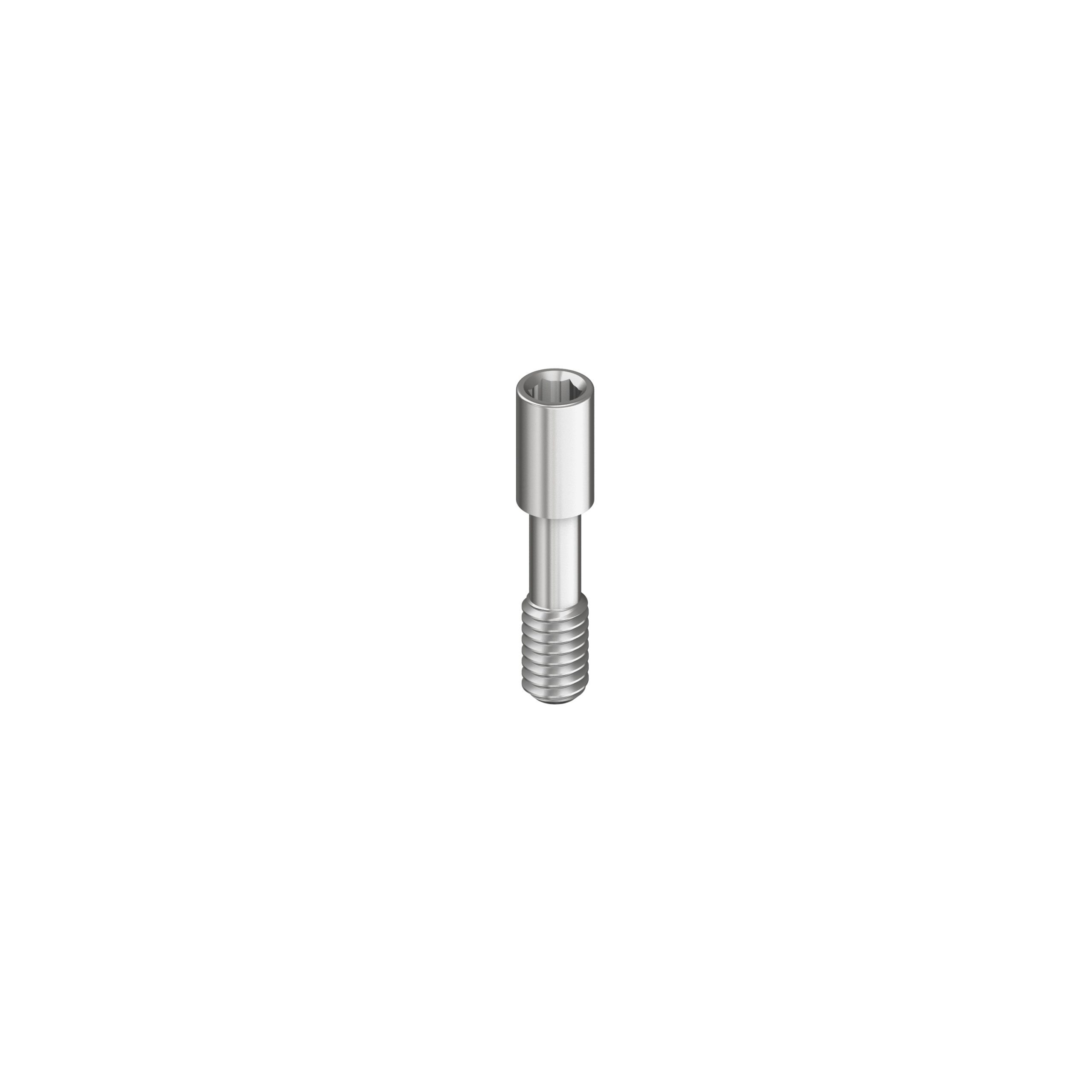 Adin® Touareg™ S / OS RS Prosthetic Screw RS3400 Titanium Screw of Long Type