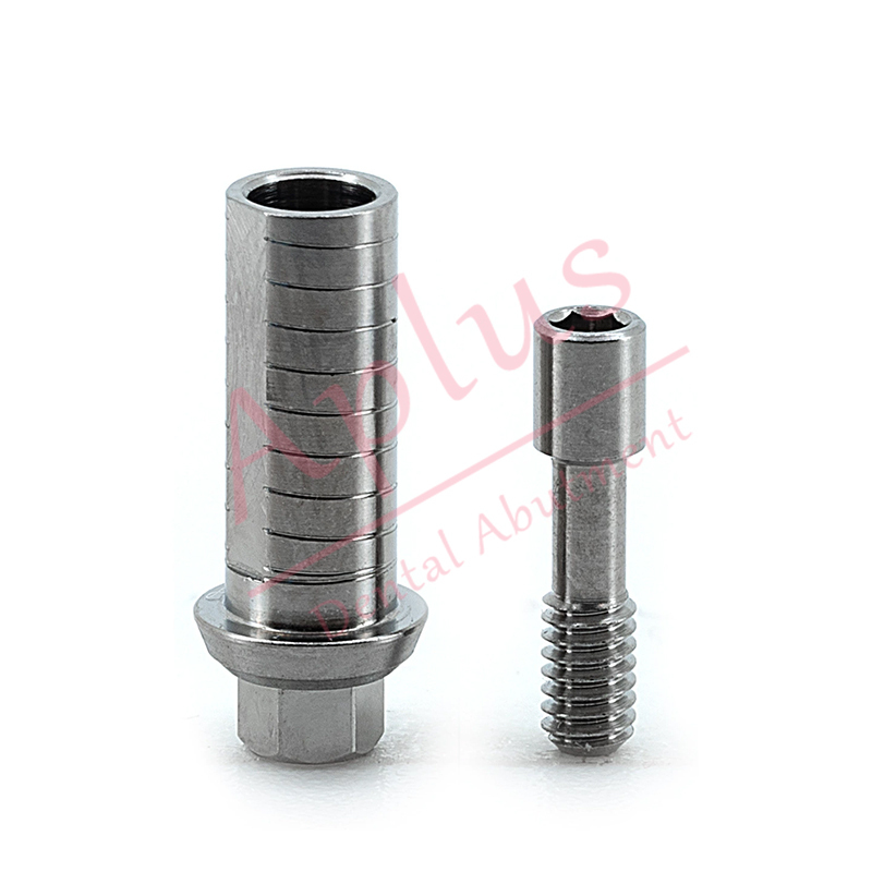 Adin® Touareg™ S / OS RS Straight Cylindrical Titanium Abutment GH 1mm / 2mm / 3mm / 4mm