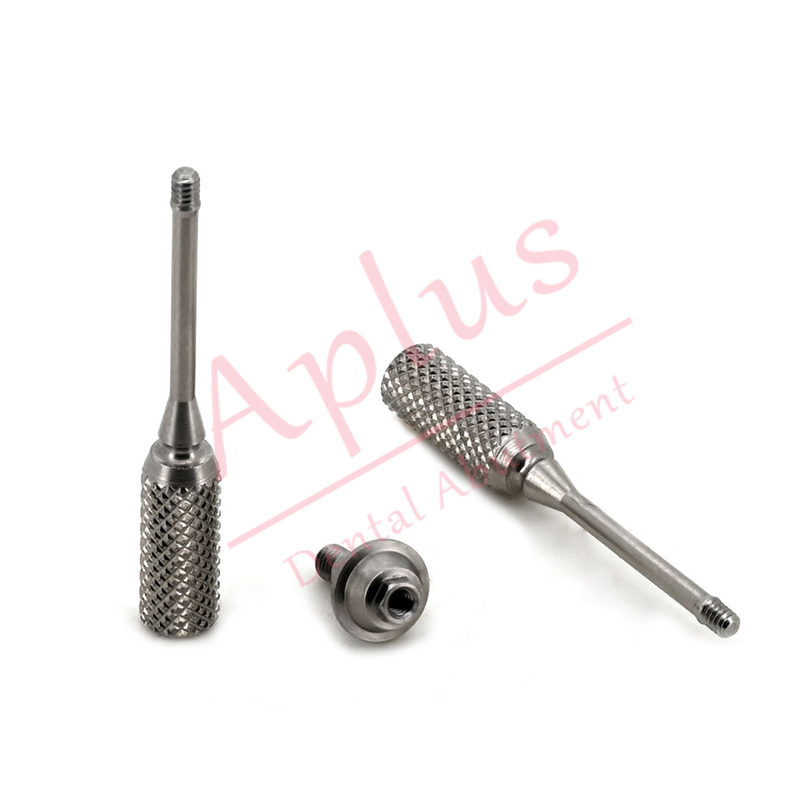 Adin® Multi unit Straight Abutment RS Straight Trans Mucosal Abutment