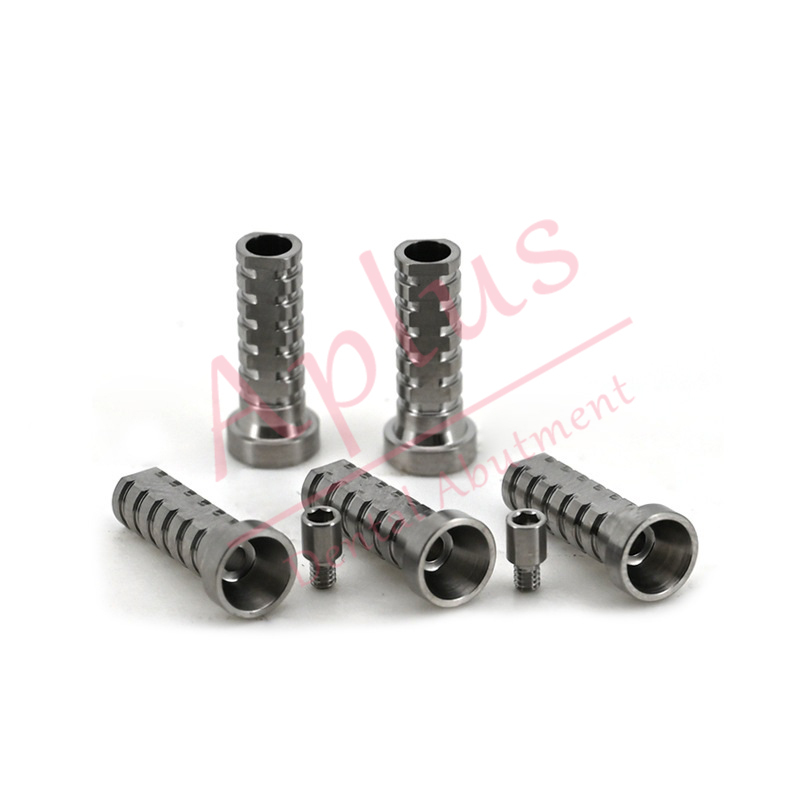Adin® Multi unit Temporary Cylinder RS4900 TMA Titanium Temporary Copying