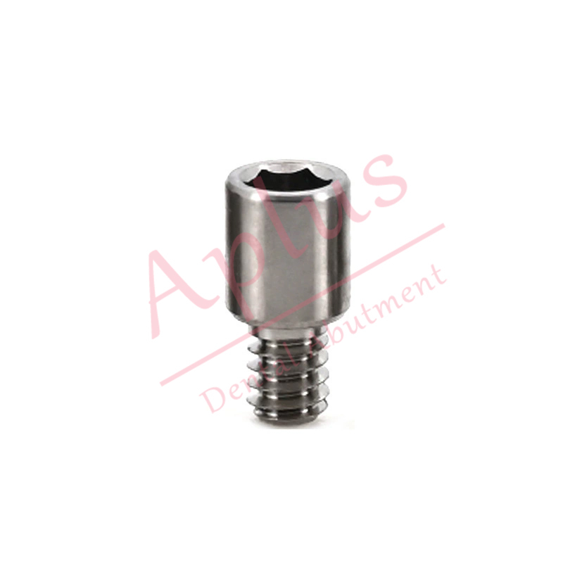 Adin® TMA Prosthetic Screw RS3404 Titanium Mua Screw