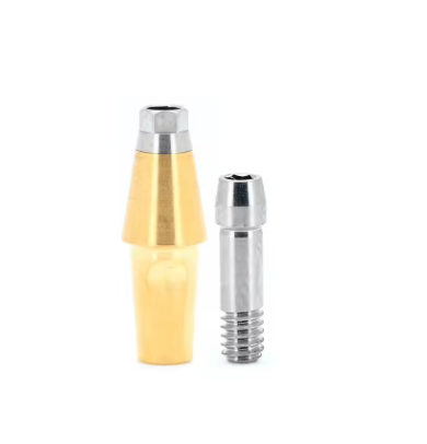 Osstem TS GS Titanium Trasfer Abutment Dental Implant Hiossen ET Titanium Straight Abutment Rigid Abutment