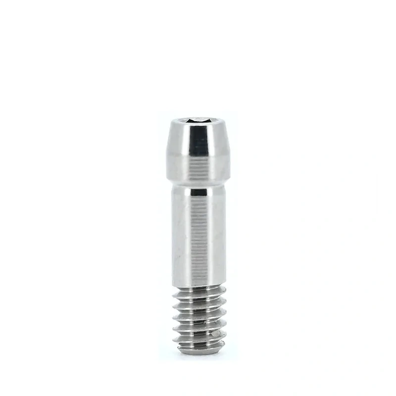 Compatible Osstem TS GS Dental Implant Titanium Screw Hiossen ET EbonyGold Screw