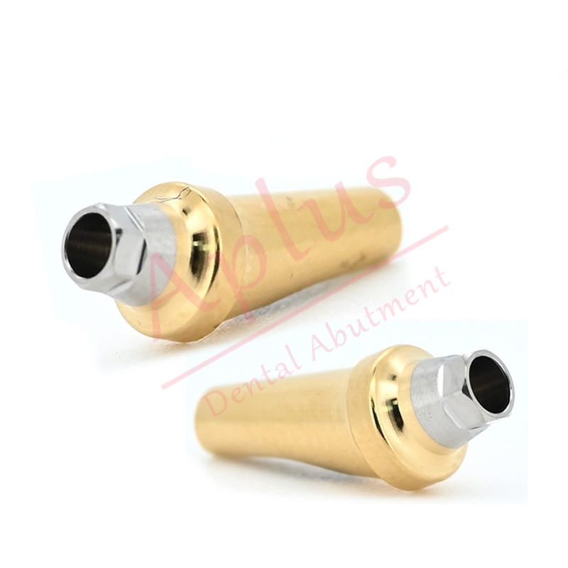 Hiossen ET Regular 17° Angled Abutment Dental Implant Osstem TS GS Mini Titanium Angled Abutment A Type B Type Cement-retained Combination Prosthesis