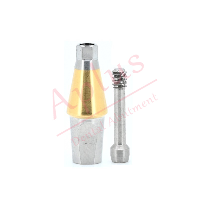 Osstem GS TS Regular Titanium Straight Abutment Dental Implant Hiossen ET Mini Transfer Abutment with Screw