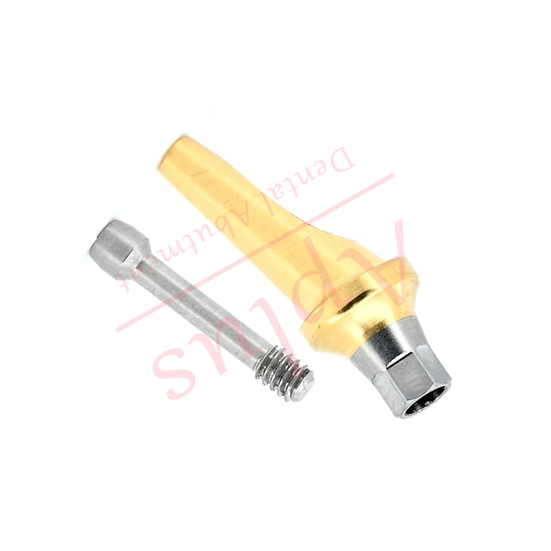 Hiossen ET Regular 17° Angled Abutment Dental Implant Osstem TS GS Mini Titanium Angled Abutment A Type B Type Cement-retained Combination Prosthesis