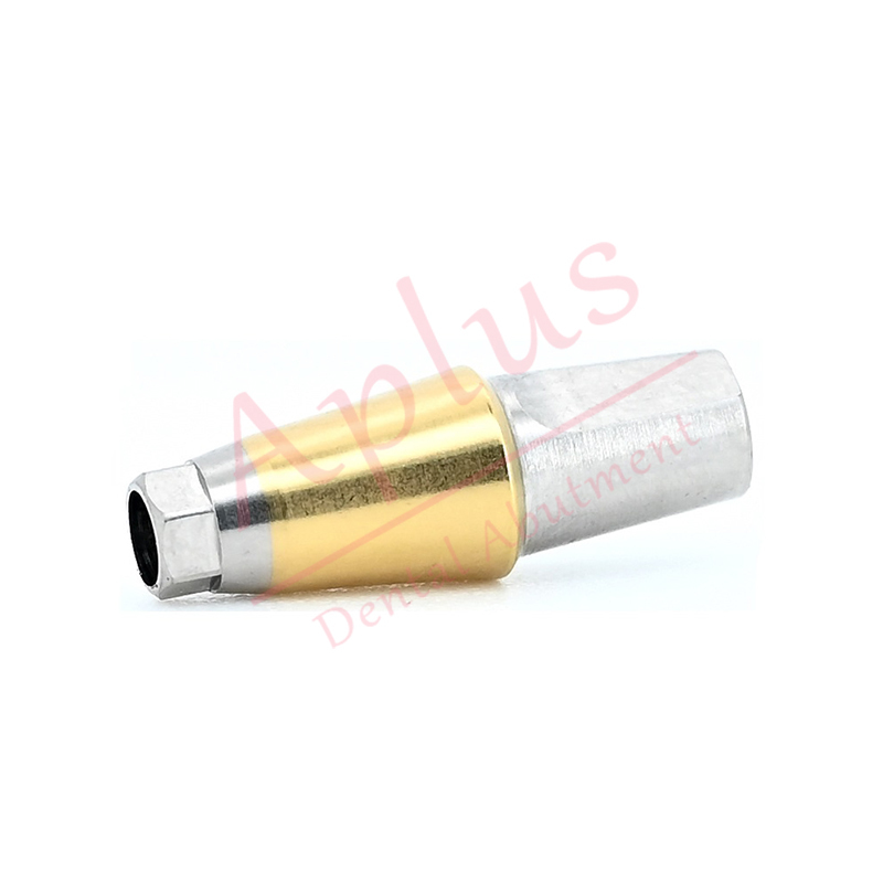 Osstem GS TS Regular Titanium Straight Abutment Dental Implant Hiossen ET Mini Transfer Abutment with Screw