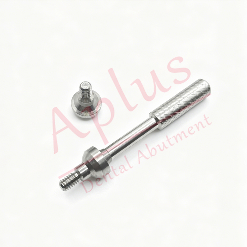 Zimmer Multi unit Straight Abutment Dental Implant Zimmer Tapered Abutments Titanium Straight Abutment Mua Abutment