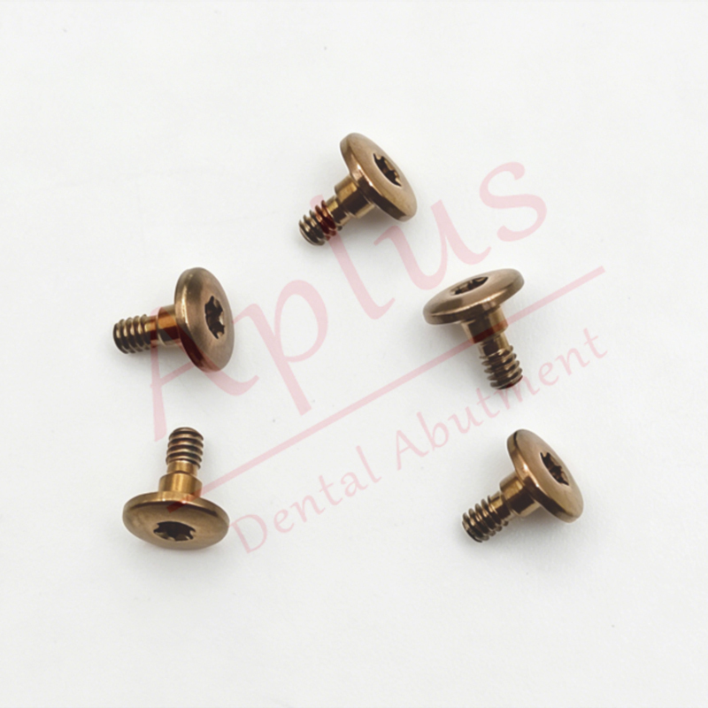 Straumann BLX WB Closure Cap 064.8102S Dental Implant ITI BLX WB Titanium Cover Screw H 0.5 mm