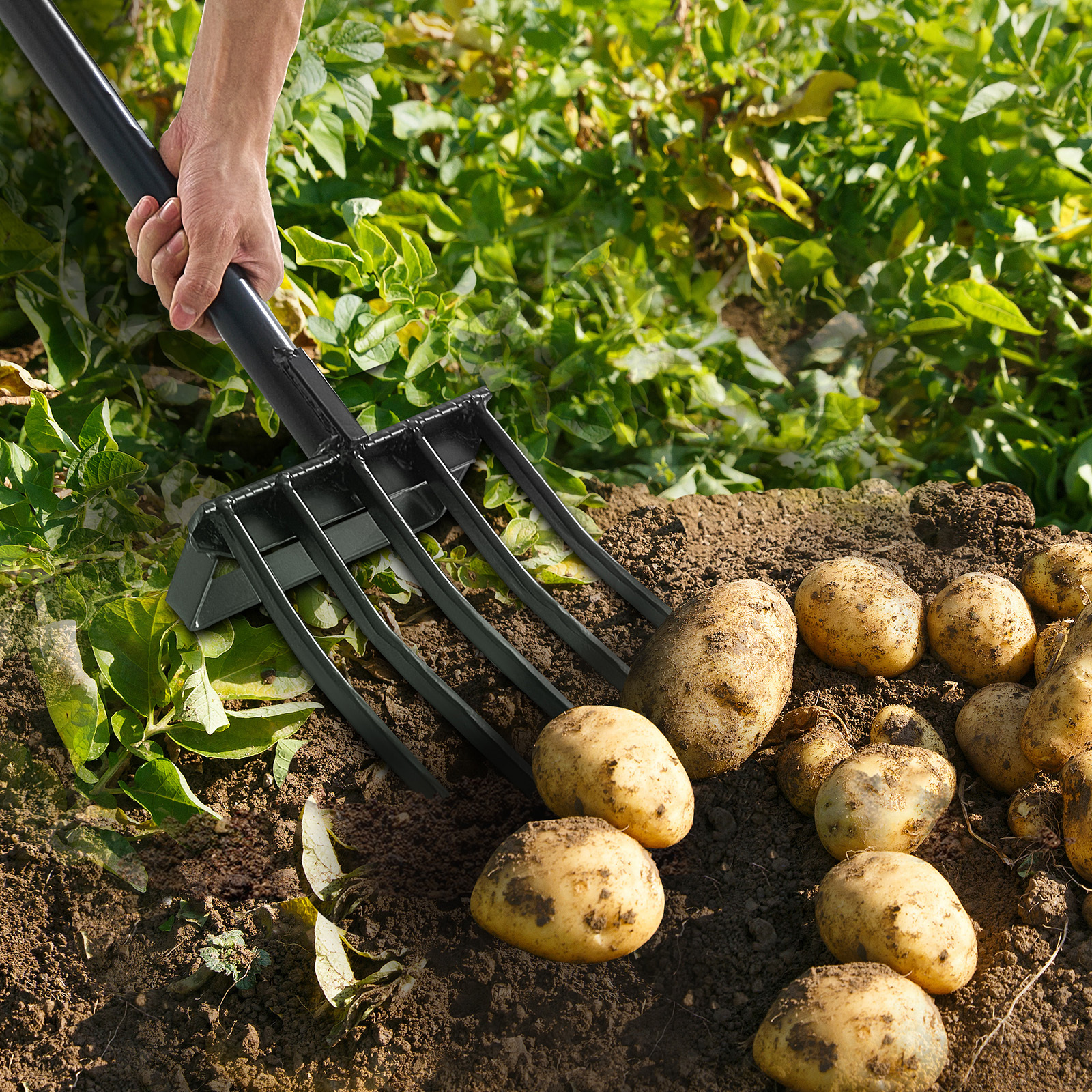 5 Tines Heavy Duty Garden Fork - 41 Inch Metal Handle Spading Pitchfork with Ergonomic Y Grip for Soil Aeration & Digging
