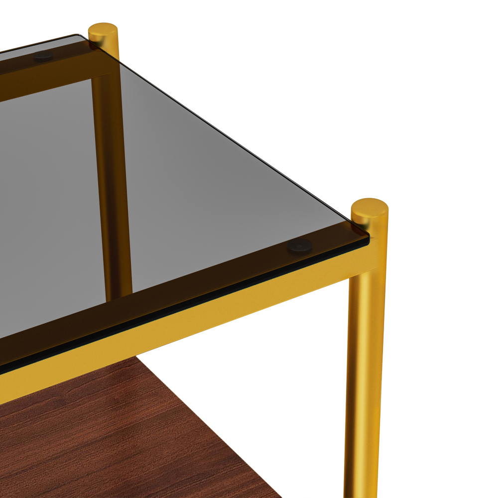 Set of 2 Modern Gold End Tables with Tempered Glass Top and Storage Shelf, Rectangle Side Tables for Living Room