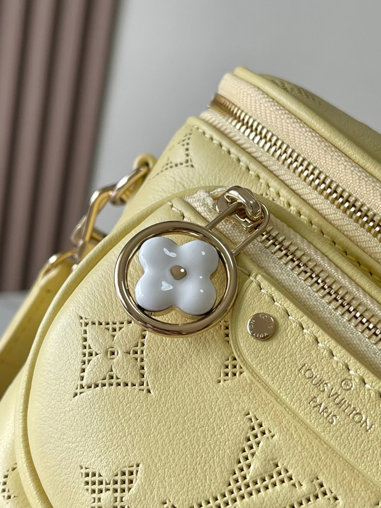 LV Mini Bumbag