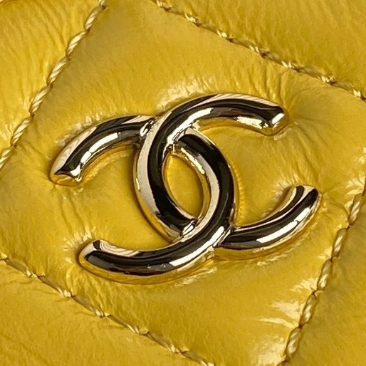 Chane1 24K Camera Bag AS5220 High-end feeling