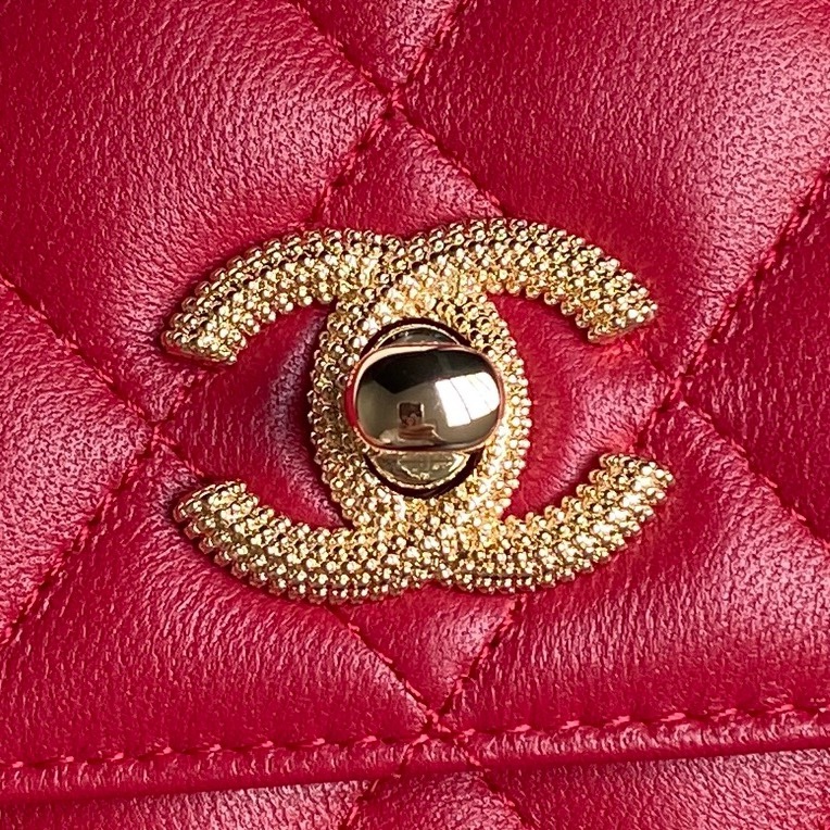 Organ Bag AP4300