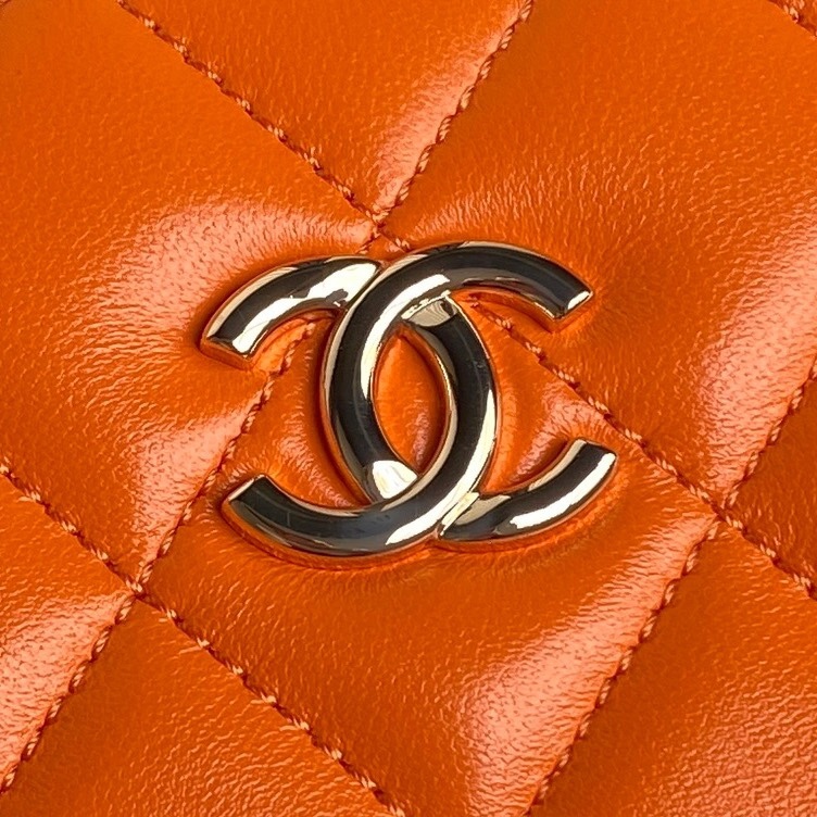 Chane1 24k Cosmetic Bag AS5167