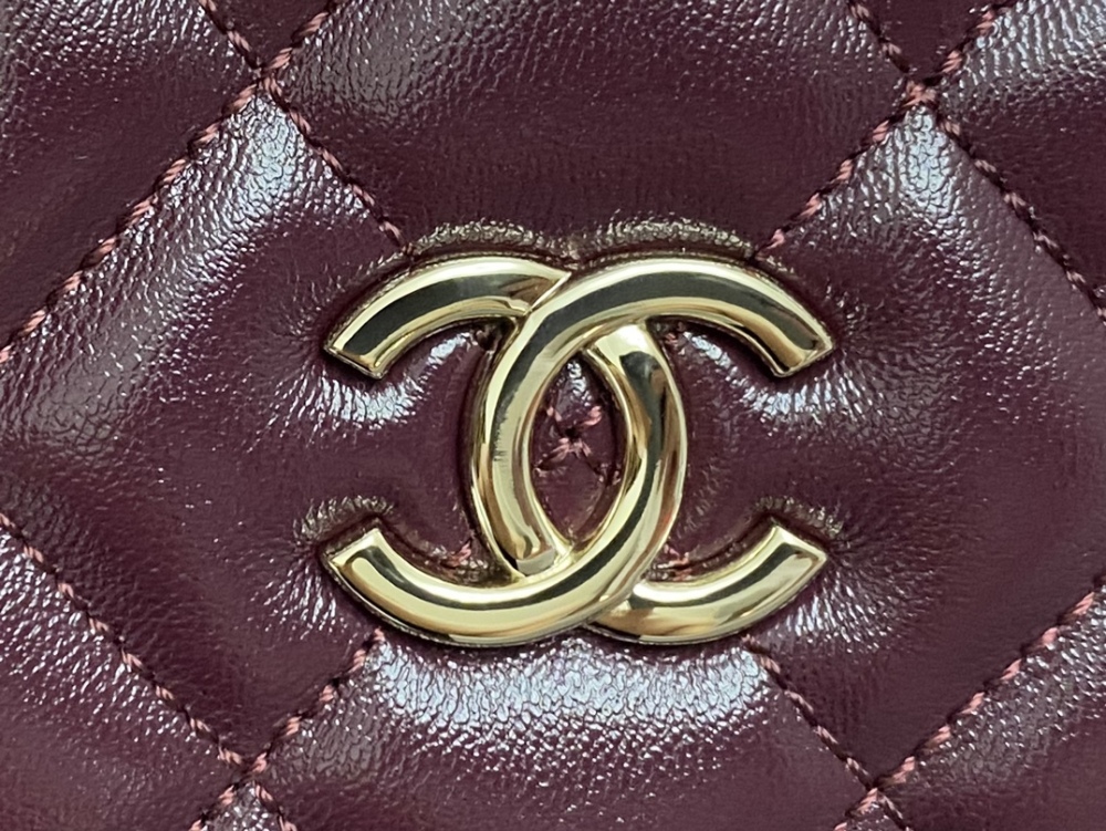 chanel  Season's Little Dark Horse Shell Bag