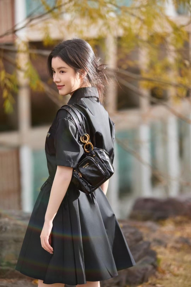 Prada Soft Lux waxed leather  bag