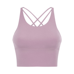 Gray Purple