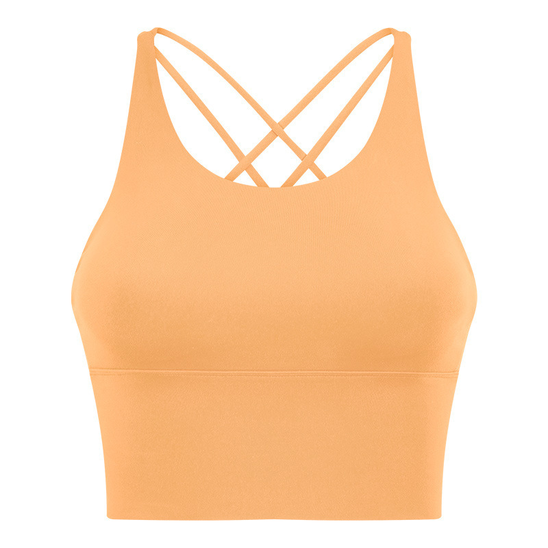 D19095 sports bra fitness yoga bra