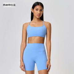 Sinatra Blue (NEW)