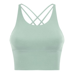Celadon