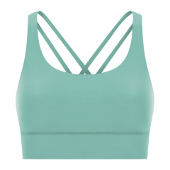 Matte Green (New)