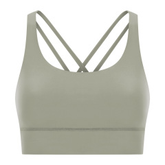 Earthy Gray (New)