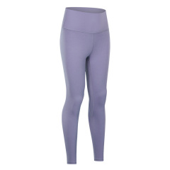 Lavender purple