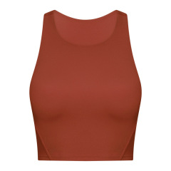 Brick Red