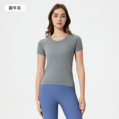 Rhino Gray