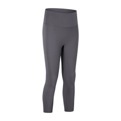 Light lotus gray
