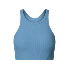 Terracotta Blue