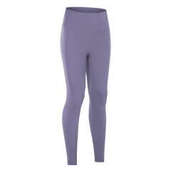 Lavender purple